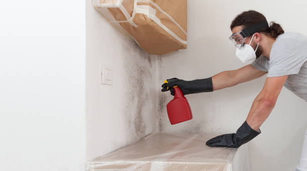 Professional Mold Inspection And Testing technician working in Hamilton, MI