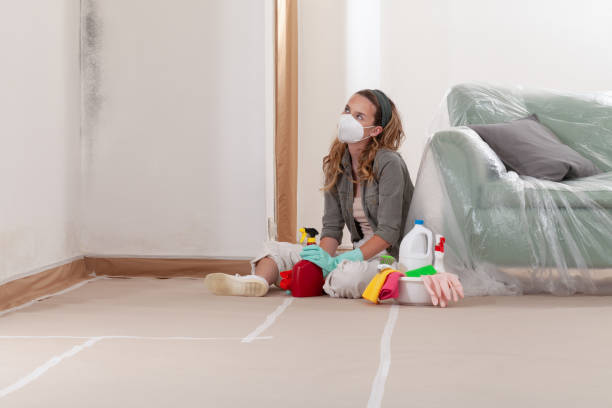 Reliable Mold Inspection And Testing contractor in Hamilton, MI by Mold Remediation HQ